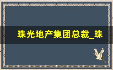 珠光地产集团总裁_珠光集团为何不发展起来