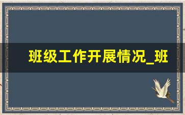 班级工作开展情况_班级管理工作记录