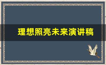 理想照亮未来演讲稿