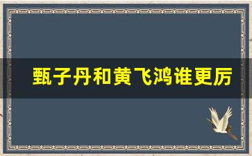 甄子丹和黄飞鸿谁更厉害