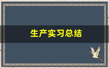 生产实习总结