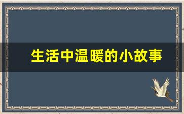 生活中温暖的小故事