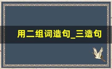 用二组词造句_三造句子简单