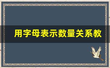 用字母表示数量关系教学反思_用字母表示数的优越性