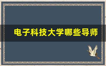 电子科技大学哪些导师不能报_电子科大冷甦鹏