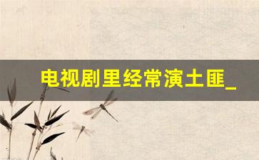 电视剧里经常演土匪_刘涛主演的抗日电视剧有哪些