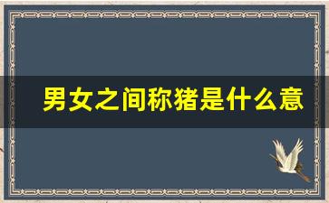 男女之间称猪是什么意思_女生叫男人猪是有多爱