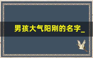 男孩大气阳刚的名字_男孩名字洋气潮一点