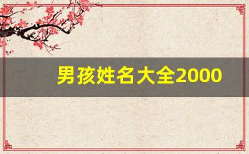 男孩姓名大全20000个