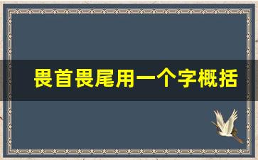 畏首畏尾用一个字概括意思_畏缩畏尾的意思