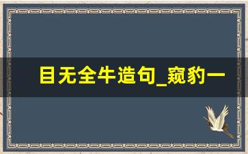 目无全牛造句_窥豹一斑造句