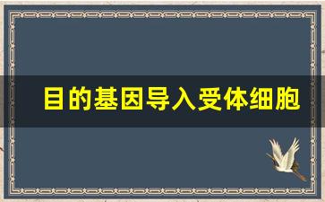 目的基因导入受体细胞的方法