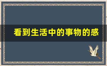 看到生活中的事物的感受