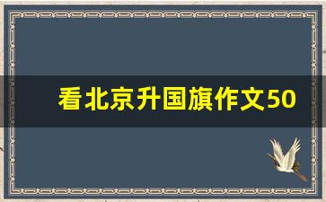 看北京升国旗作文500字