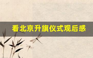 看北京升旗仪式观后感300字_观北京天安后感100字