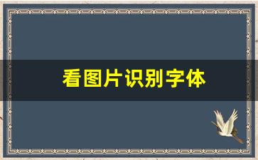 看图片识别字体