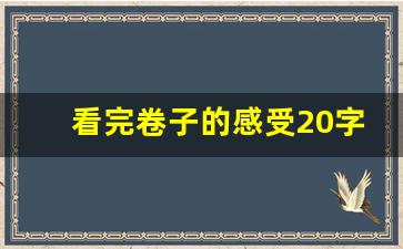 看完卷子的感受20字