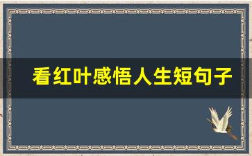 看红叶感悟人生短句子_红叶写一句话