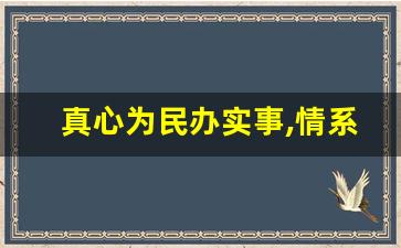 真心为民办实事,情系民心解_听民声,察民情,解民忧心得体会