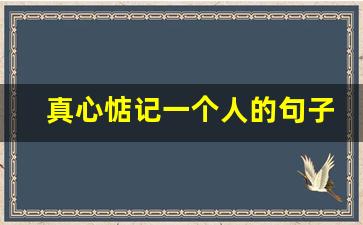 真心惦记一个人的句子暗示