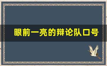 眼前一亮的辩论队口号