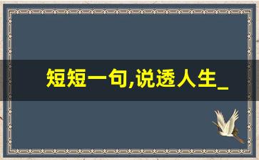 短短一句,说透人生_看淡,心静,积极的句子