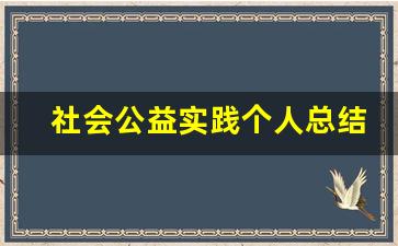 社会公益实践个人总结