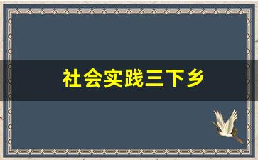 社会实践三下乡