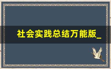 社会实践总结万能版_实践收获和体会万能模板