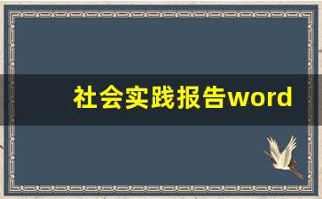 社会实践报告word格式图文