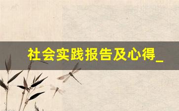 社会实践报告及心得_高中生社会实践表填写