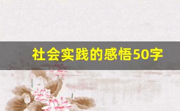 社会实践的感悟50字_社会实践简短总结