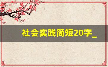 社会实践简短20字_高中社会实践填写范例