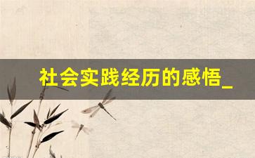 社会实践经历的感悟_社会实践情况