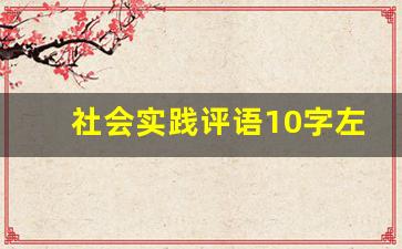 社会实践评语10字左右