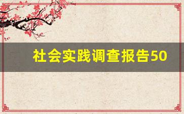 社会实践调查报告5000字