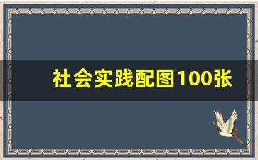 社会实践配图100张_上传实践活动视频截图