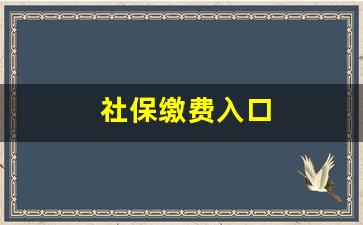 社保缴费入口