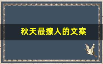 秋天最撩人的文案