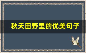 秋天田野里的优美句子摘抄