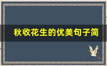 秋收花生的优美句子简短_关于花生的五言绝句