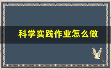 科学实践作业怎么做