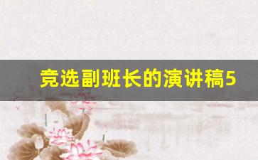 竞选副班长的演讲稿50字