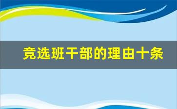 竞选班干部的理由十条_竞选班长用一是二是三是写