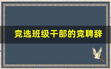 竞选班级干部的竞聘辞