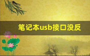 笔记本usb接口没反应