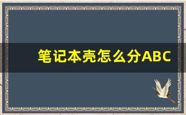 笔记本壳怎么分ABCD_笔记本换个外壳一般要多少钱