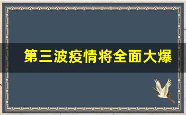 第三波疫情将全面大爆发_2023恢复全员核酸