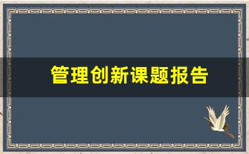 管理创新课题报告