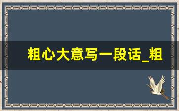 粗心大意写一段话_粗心大意怎么写一篇短文